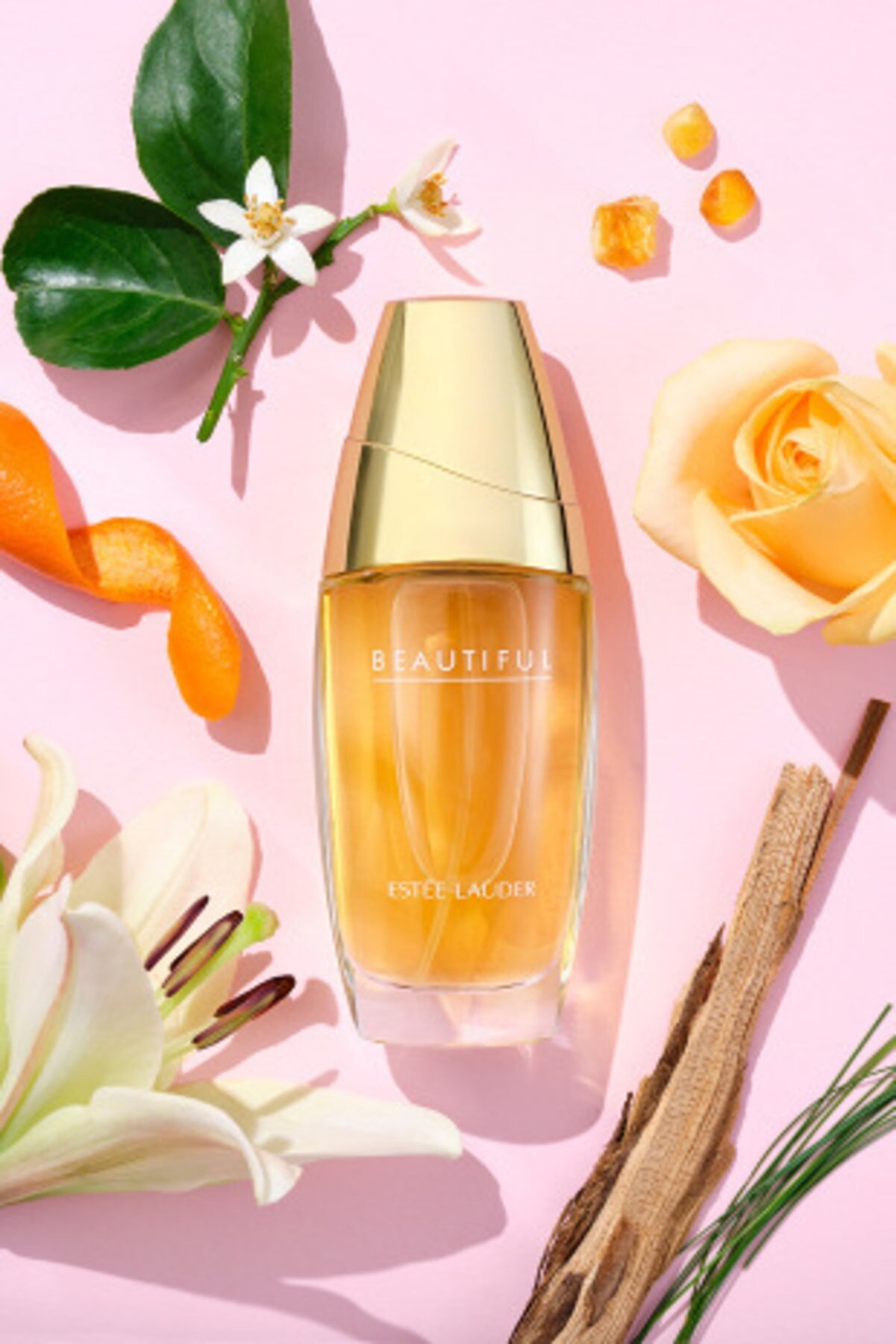 عطر زنانه Beautiful حجم 75 میلی لیتر استی لادر Estee Lauder
