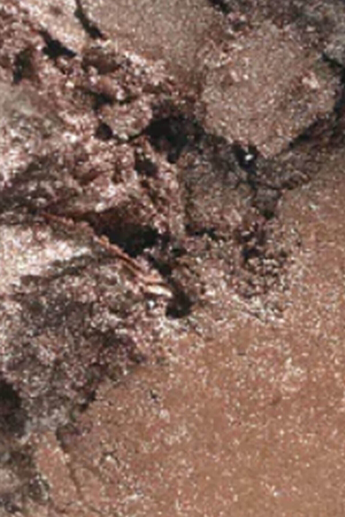 سايه چشم تکی مدل WOODWINKED  رنگ طلای عتیقه گرم حجم 1.5 میل مک MAC