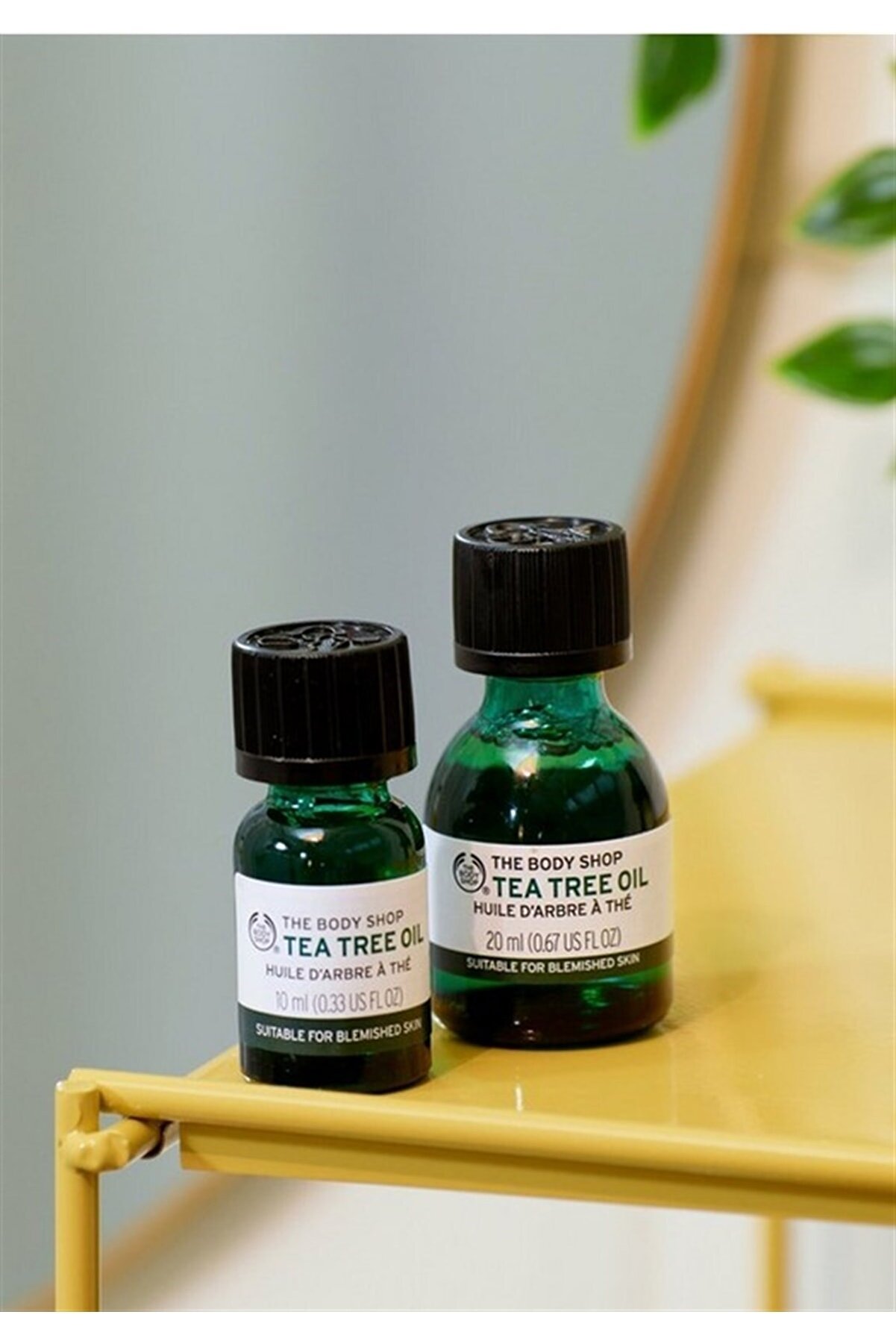 روغن درخت چای با حجم 10 میلی لیتر بادی شاپ The body shop